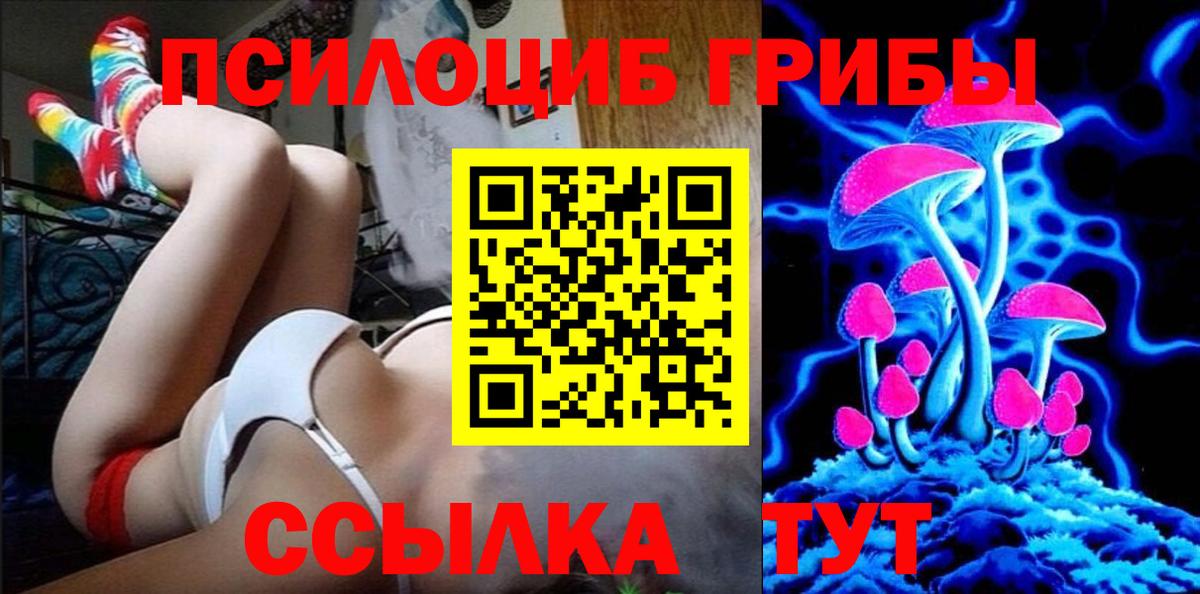 Псилоцибиновые грибы MAGIC MUSHROOMS Верхняя Пышма