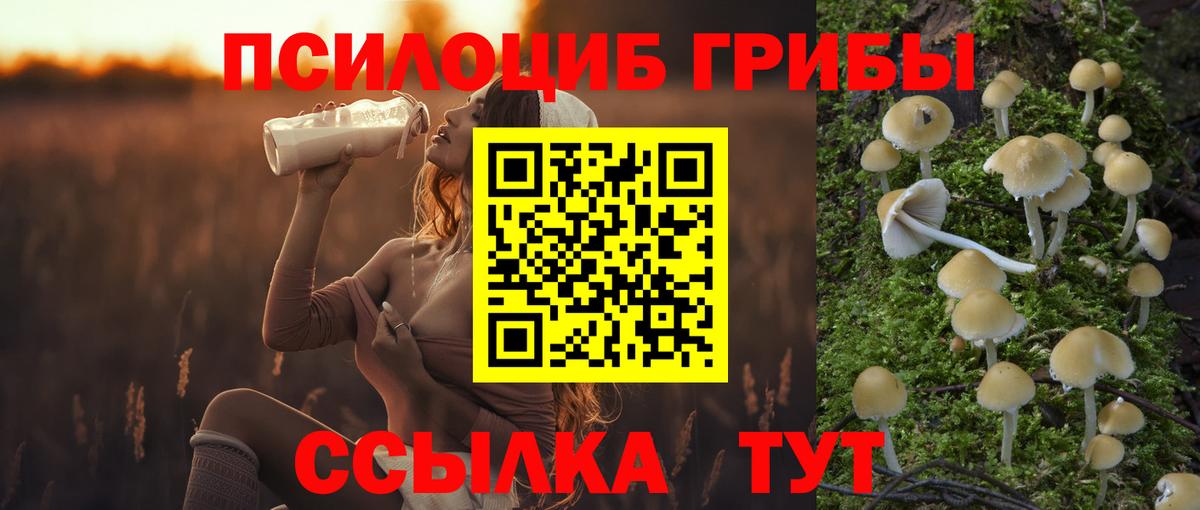 Галлюциногенные грибы мухоморы  Вход с VPN  Верхняя Пышма  Галлюциногенные грибы мицелий 